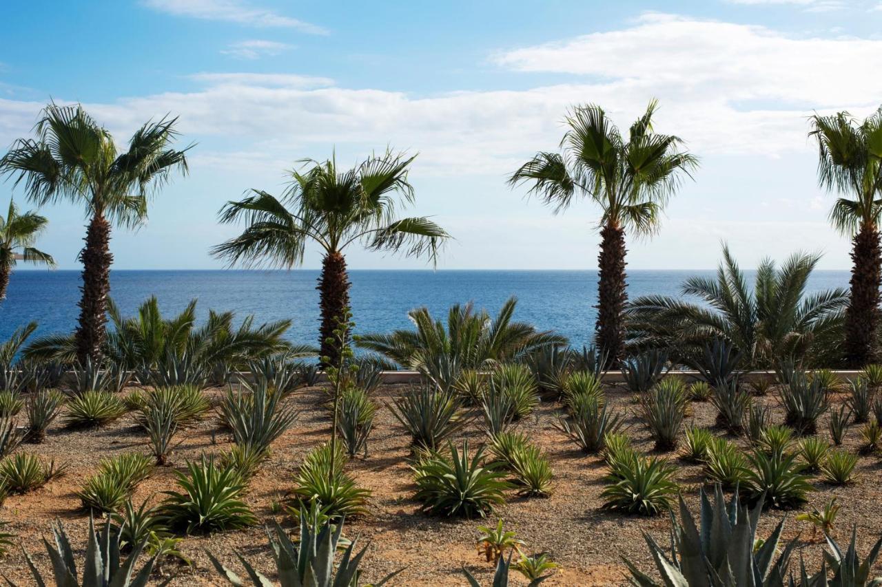 Casa Maat At Jw Marriott Los Cabos Beach Resort & Spa San José del Cabo Exteriör bild